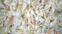 nareeta-martin-1JVAcUWe0DU-unsplash