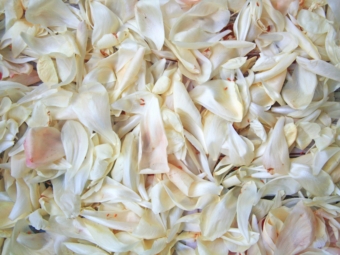 nareeta-martin-1JVAcUWe0DU-unsplash