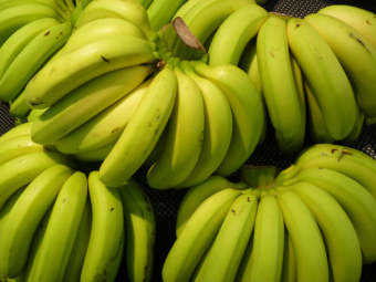 A closeup shot of ripe bananas stuck together